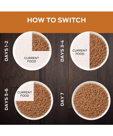 Purina Pro Plan NF Kidney Function Early Care Wet Cat Food - 24x5.5 oz Cans - Buy Online on GoSupps.com