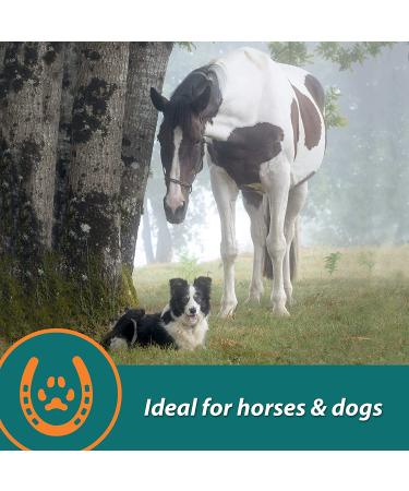 Farnam Next Level Joint Fluid Supplement 16oz - Supports Hip & Joint Health for Horses & Dogs - Buy Online on GoSupps.com