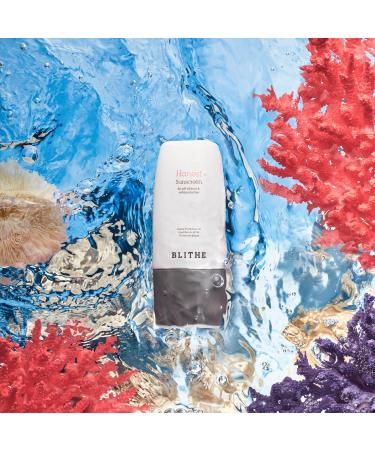 Blithe Honest Sunscreen for pH Balance & Mild Protection - Korean Skincare Chemical Sun Protection Replenish Skin pH 5.5 Balancing Formula SPF 50+ PA++++ (50 ml) - Buy Online on GoSupps.com