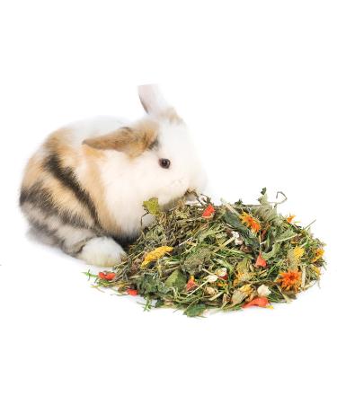 Gr nhopper Junior Rabbit Food 5kg - Premium Nutritious & International Shipping Available - Buy Online on GoSupps.com