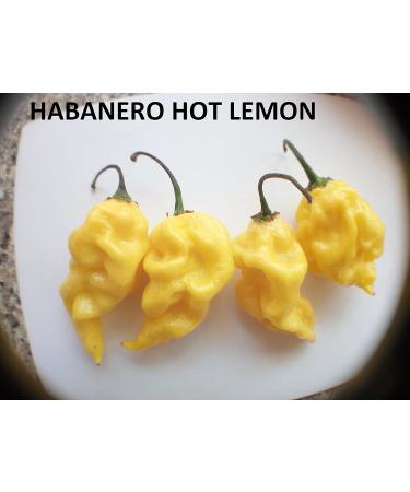 Pepper seeds 10 different varieties -- 100 seeds - Buy Online on GoSupps.com