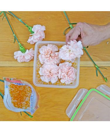 Flower Drying Crystals DRYFLO15  1.5-Pounds / 0.68 KG of Silica Gel Preserving Wedding  1-Pack - Buy Online on GoSupps.com