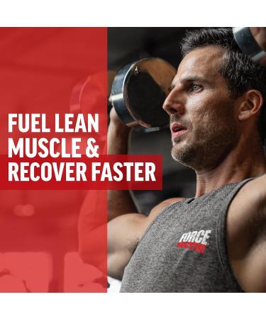 Buy Force Factor BCAA Amino Acids Supplement 2:1:1 | Cherry Limeade | Muscle Recovery & Performance | No Artificial Colors or Flavors | 30 Servings - Buy Online on GoSupps.com