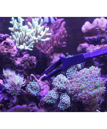 AquaticHI 27 inch Aquarium Tongs - 100% Reef Safe | Multi Purpose Fresh and Saltwater Fish Tank Tool for Clip Plants, Spot Feed Fish and Coral | Keep Hands Dry - Buy Online on GoSupps.com