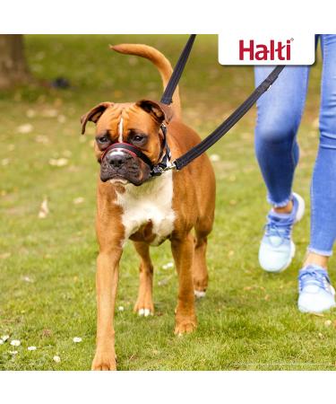 HALTI Optifit Headcollar Medium Size | Professional Anti-Pull Dog Training Harness - Buy Online on GoSupps.com