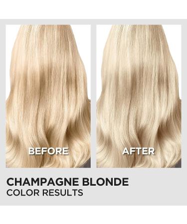 L'Oreal Paris Feria Anti Brass Power Hair Toner - Champagne Blonde, 1 Count - Buy Online on GoSupps.com