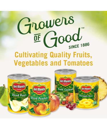 DEL MONTE DELUXE GOLD Pineapple Slices in 100% Juice  Canned Fruit  20 oz Can - Buy Online on GoSupps.com