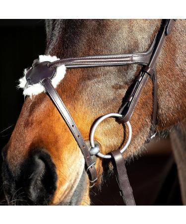 HORZE Prescott Figure 8 Bridle - Brown, Horse Size - Buy Online on GoSupps.com