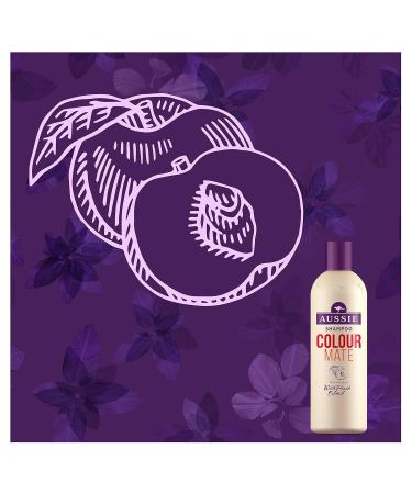 Aussie Colour Mate Shampoo 500ml - Vibrant Color Protection for All Hair Types | Shop Internationally - Buy Online on GoSupps.com