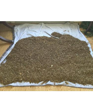 Our mega-23 Mushroom blend . We have it all! - Buy Online on GoSupps.com