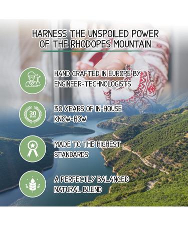 Milva Shampoo for Oily Hair with Nettle Extract - 500 ml Natural Shampoo - Oil-Reducing and Anti-Dandruff Shampoo for Men and Women - Care for Oily Hair - Volume & Shine Shampoo - Buy Online on GoSupps.com