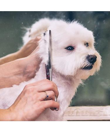 Gimars 6 in 1 Professional Titanium Coated Stainless Steel Dog Grooming Scissors - Safety Round Tip Heavy Duty Pet Scissors for Dogs, Cats, and More - Blue - Buy Online on GoSupps.com
