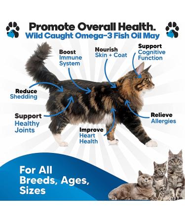 Omega 3 Fish Oil for Cats - Premium Cat Vitamin and Supplement for Health and Shedding - 8 Oz Liquid Fish Oil for Cats - Buy Online on GoSupps.com