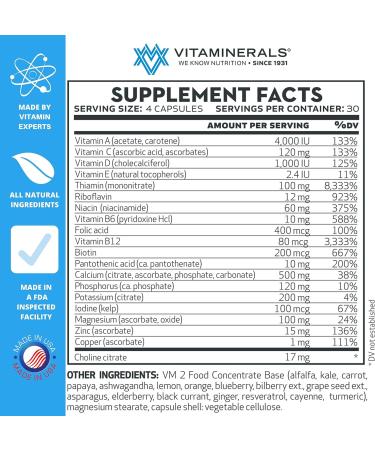 VITAMINERALS 2BG+ B Complex & Multi-Vitamin Immune Support (120ct) | High Potency Formula - Buy Online on GoSupps.com