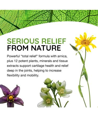 T-Relief Extra Strength Arthritis Arnica +12 Natural Pain Medicines - 250 Tablets - Buy Online on GoSupps.com