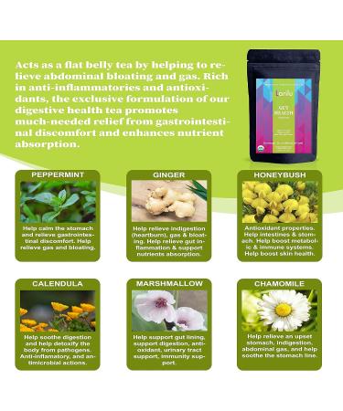 Larilu Gut Health Detox Tea - Natural Digestive Support with Peppermint, Ginger, Fennel - Reduce Bloating, Gas - Organic Herbal Tea (30 Cups) - Buy Online on GoSupps.com