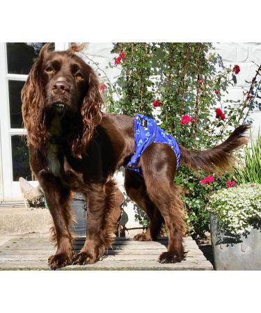 Glenndarcy Female Dog Diapers - Waterproof Large Size with 2 Washable Pads | Cute Butterflies Design - Buy Online on GoSupps.com