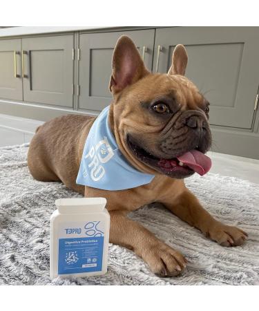 TJ Pro Digestive Probiotics for Dogs | Sensitive Stomachs, Skin Issues, Wind Relief | Prebiotic, Probiotic & Enzymes for Gut Health | Made in UK - Buy Online on GoSupps.com