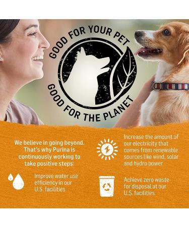 Purina Beyond Grain Free Wet Dog Food in Gravy - Chicken & Sweet Potato, 12.5 oz Cans (12-Pack) - Buy Online on GoSupps.com