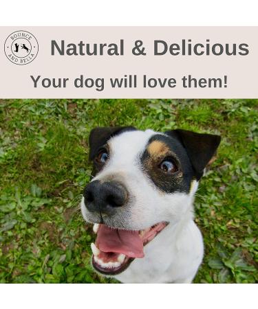 Bounce and Bella Pig Ears Strips for Dogs Natural Dog Chews Healthy Treats Help Clean Dogs Teeth 150 g (Pack of 1) - Buy Online on GoSupps.com