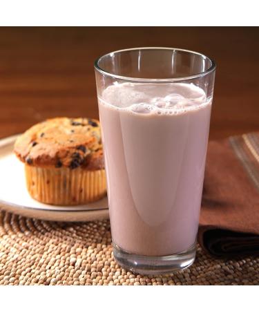 Morning Moo's Chocolate Low Fat Milk Alternative 4.4 lb (Pack of 1) - Buy Online on GoSupps.com
