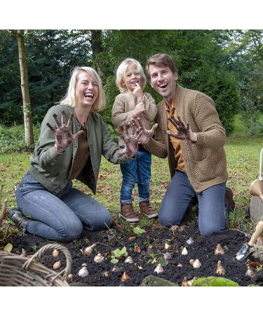 Buy Echinacea Plant Collection (10 Plants) - 5 Varieties Hardy & Perennial - Fast International Shipping - Buy Online on GoSupps.com