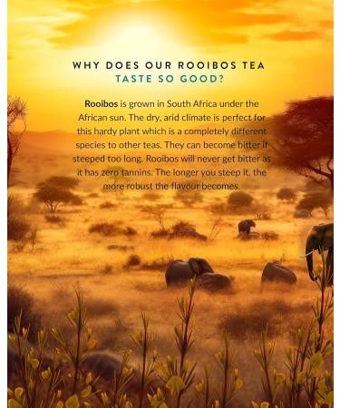 Tega Organic Earl Grey Rooibos Tea | Herbal Tea in Eco-Friendly Tea Bags Fairtrade Carbon Neutral Zero Sugar Caffeine Free 20 Individually Wrapped Tea Bags (Pack of 3) Earl Grey Rooibos Tea 20 Count (Pack of 3) - Buy Online on GoSupps.com