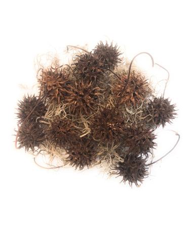 Generic Witch Burrs (balls) with Spanish Moss Hand Picked with great care to insure a Quality Product