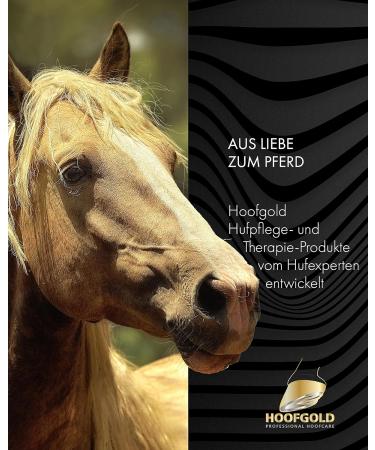HOOFGOLD Hoof Balm - Ultimate Hoof Care for Horses - 980ml & 1000ml - Strengthen Hoof Cracks & Dry Hooves - Buy Online on GoSupps.com