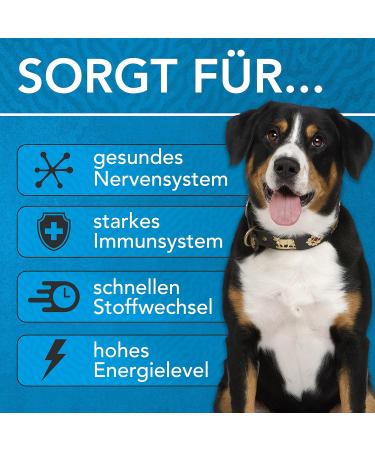 Vitamin B Complex for Dogs 30ml - Premium German Drops | Enhance Dog Health with Vitamin B - Buy Online on GoSupps.com