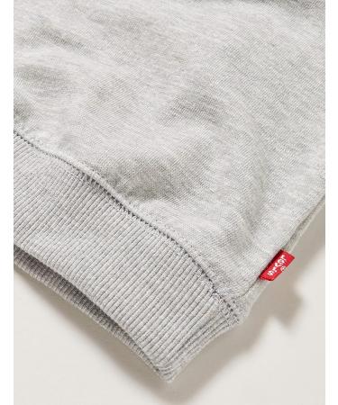Levi's Kids Batwing Crewneck Sweatshirt - Baby Boys | 3 Months | Grey Heather - Buy Online on GoSupps.com