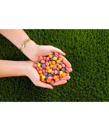 Nerds Big Chewy Candy 6 Ounce Pack of 12 - Delicious Assorted Flavors - Bulk Buy for Sweet Treats - Buy Online on GoSupps.com