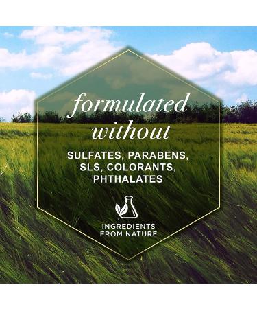 Burt's Bees 2-in-1 Dog Shampoo & Conditioner with Papaya & Awapuhi | Deodorizing Spray | Dog Bathing Supplies - 8 oz - Buy Online on GoSupps.com