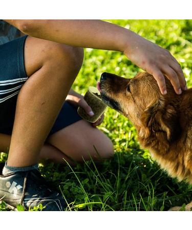 Citylife 2 PCS 2.5 LB Cat Food Storage Containers - Airtight Small Pet Dog Food Container with Measuring Cup & Pour Spout - Bird Dry Food Dispenser with Lid (2 Pack, Pea Green) - Buy Online on GoSupps.com