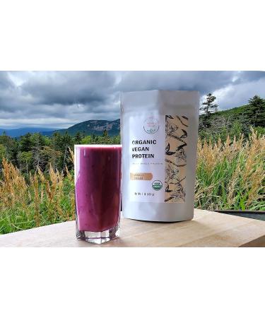 Organic Vegan Protein Powder - Plant Based Vanilla Flavor Non-Dairy Gluten Free Sugar Free Non-GMO Ketogenic 1 lb - Buy Online on GoSupps.com