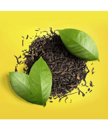 Lipton Diet Iced Tea Sugar Free - Lemon - 5.9 Oz - Buy Online on GoSupps.com