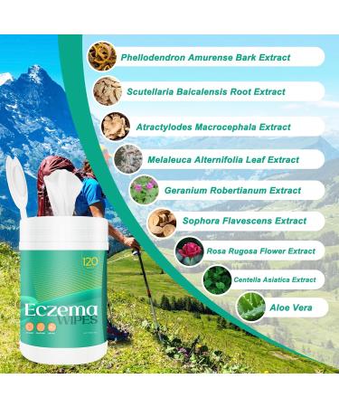 All-Natural Eczema Wipes | Fast Acting Relief with Oatmeal | Soothes Itching & Cracking | Organic Skin Protectant - Buy Online on GoSupps.com