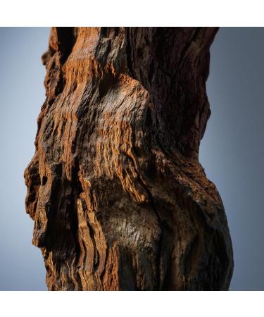 Hugo Boss Bottled Infinite Eau de Parfum 3.3 Fl Oz - Buy Online on GoSupps.com