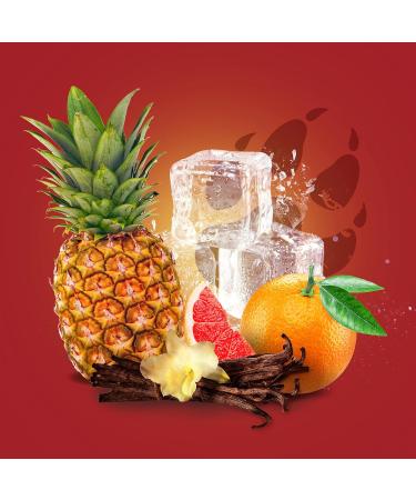  Old Spice Old Spice Wolfthorn Men's 3-in-1 Shower Gel and Shampoo 250 ml - Long Lasting Fragrance - Pack of 6 - Buy Online on GoSupps.com