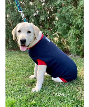 Dog Surgical Bodysuit | Wound Protection Suit for Dogs | Medical Recovery Shirt (XL Blue) - Shop Now! - Buy Online on GoSupps.com