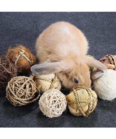 DAMPET Small Animals Play Balls: Chew Grass & Rolling Toys for Rabbit, Chinchilla, Guinea Pigs, Hamsters, Improve Dental Health - 9 Pieces - Buy Online on GoSupps.com