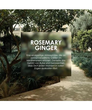 Jean & Len Melting Moisture Body Treatment Rosemary & Ginger | Nourishing Body Butter for Normal Skin | 50ml - Fragrant Care Solution - Buy Online on GoSupps.com