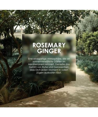 Jean & Len Travel Set Rosemary & Ginger | Vegan Body & Mind Gift | FSC Certified Packaging | Ideal Souvenir - Buy Online on GoSupps.com