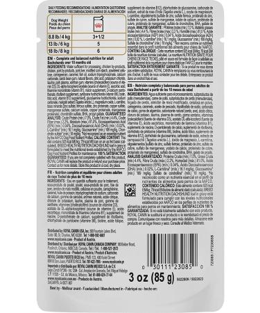 Royal Canin Dachshund Adult Wet Dog Food 3oz - Pack of 12 | Loaf in Gravy - Buy Online on GoSupps.com