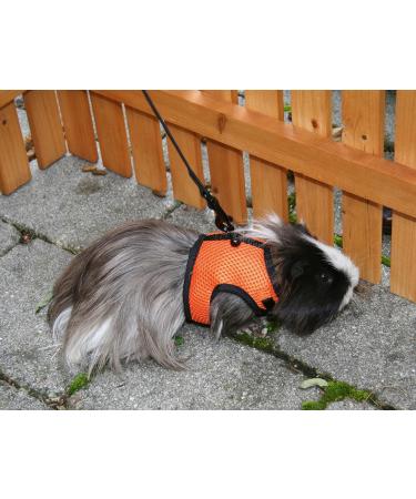 Shop Kerbl Rabbit Harness with Flexible Leash - Adjustable 22-26 cm Neck & 33-43 cm Belly | International Shipping Available - Buy Online on GoSupps.com