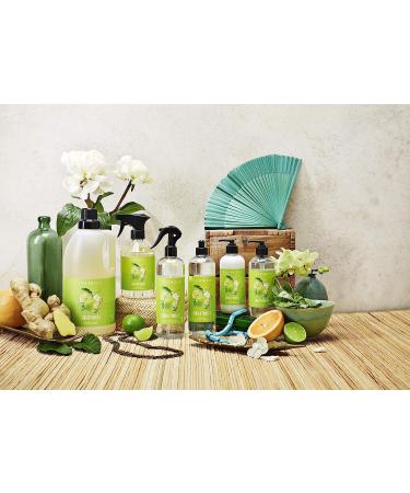 Caldrea Biodegradable Dish Soap 16 oz | Soap Bark & Aloe Vera | Ginger Pomelo Scent - Buy Online on GoSupps.com