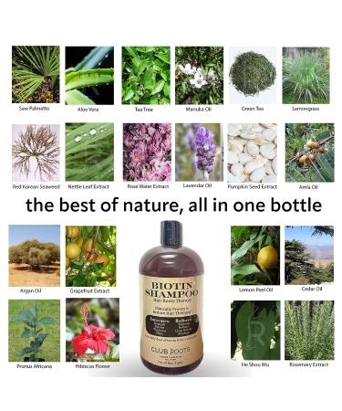 Club Roots Biotin Shampoo - Daily Dose of Biotin in Just 2 Pumps - Buy Online on GoSupps.com