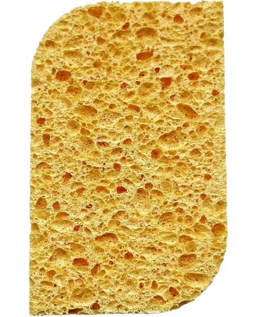 Precision Face Sponge for Gentle Exfoliation, Makeup Removal, and Cream Application - Buy Online on GoSupps.com