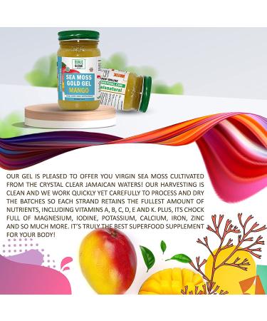 Dualspices Wildcrafted Sea Moss Gel With Mango 16 Oz | Pure & Natural Vegan Superfood for Heart, Lung, Gut Health & Immunity Support | Made in USA - Buy Online on GoSupps.com