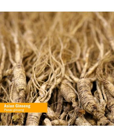 Buy Herb Pharm Asian Ginseng Alcohol-Free 1 oz | Boost Energy & Vitality - Buy Online on GoSupps.com